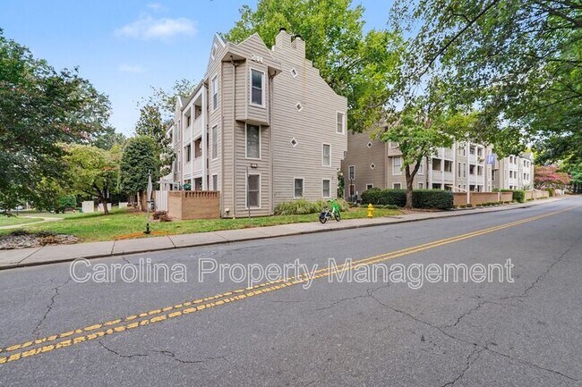 Building Photo - 244 S Cedar St