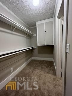 Master Clostet - 546 Rockwell Church Rd NW