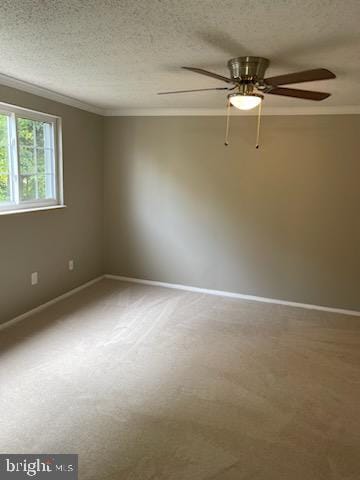 Building Photo - 3422 Belfry Ln