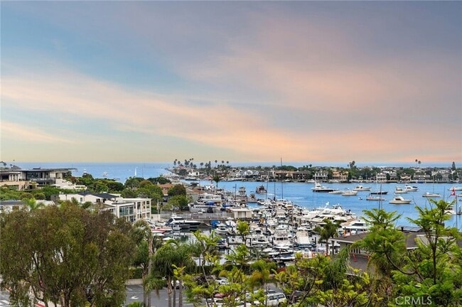 Building Photo - 1523 Dolphin Terrace