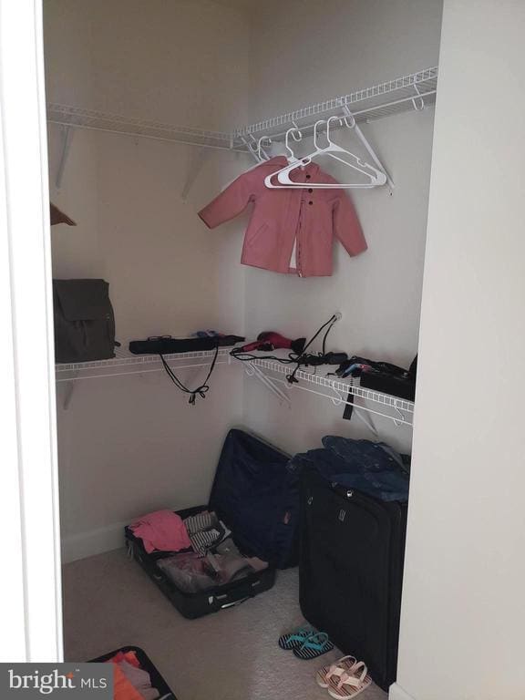 Building Photo - 2204 Shadmoor Dr