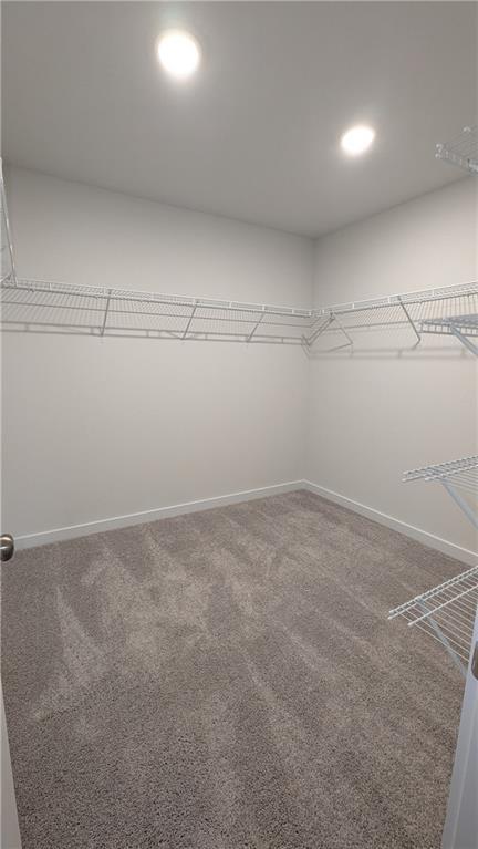 Building Photo - 1732 Harper Lily Ln