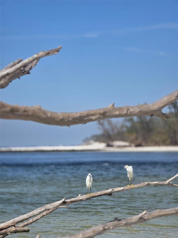 Building Photo - 403 63rd St