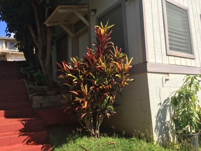Building Photo - Kaimuki Studio!