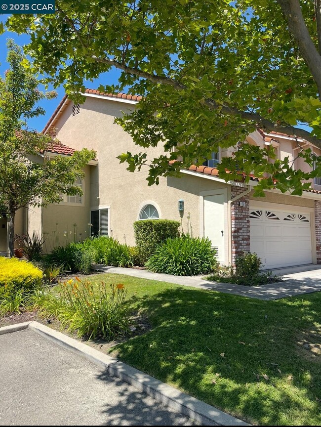 Building Photo - 658 S Blackbrush Ln