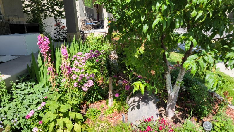 Building Photo - 807 Whisper Cove Rd