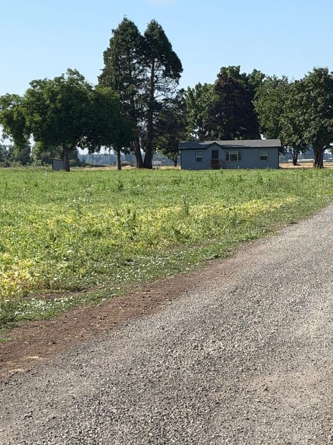 Building Photo - Rural site on 2 acres