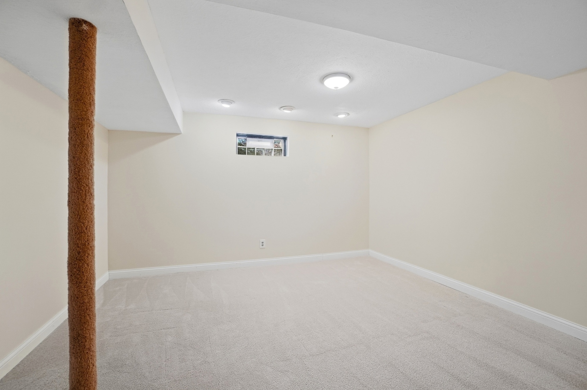 Building Photo - 1849 Lemontree Ln