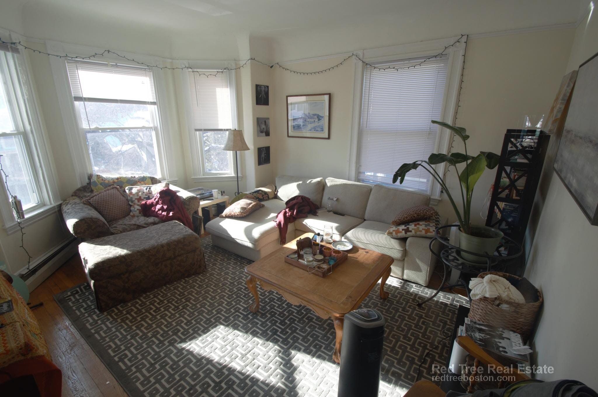 Building Photo - 48 Green St