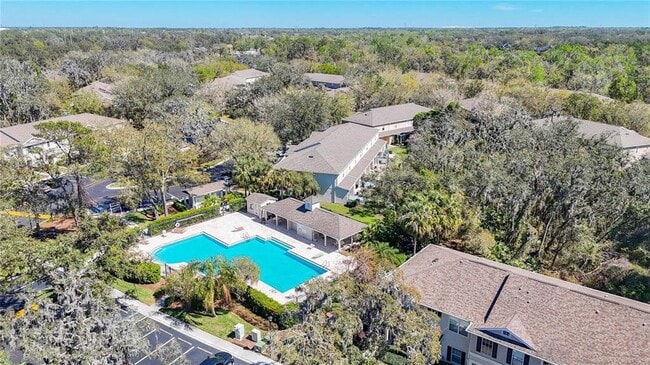 Building Photo - 15811 Fishhawk Falls Dr