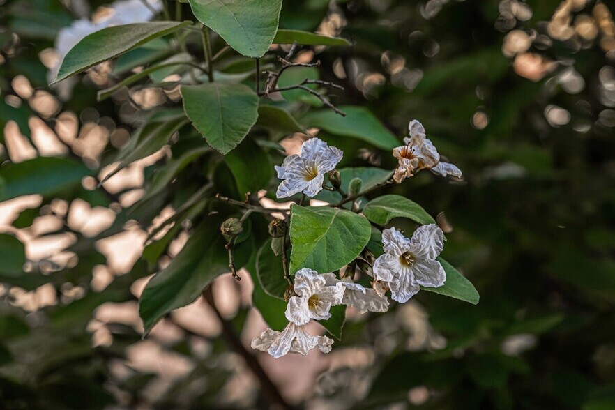 Building Photo - 3404 American Dr