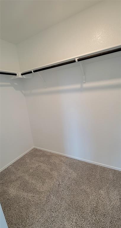 Building Photo - 5605 Bellissima Way