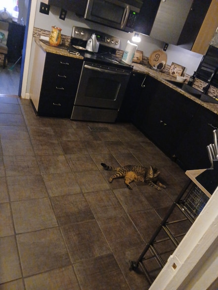 Building Photo - 5 Martin St