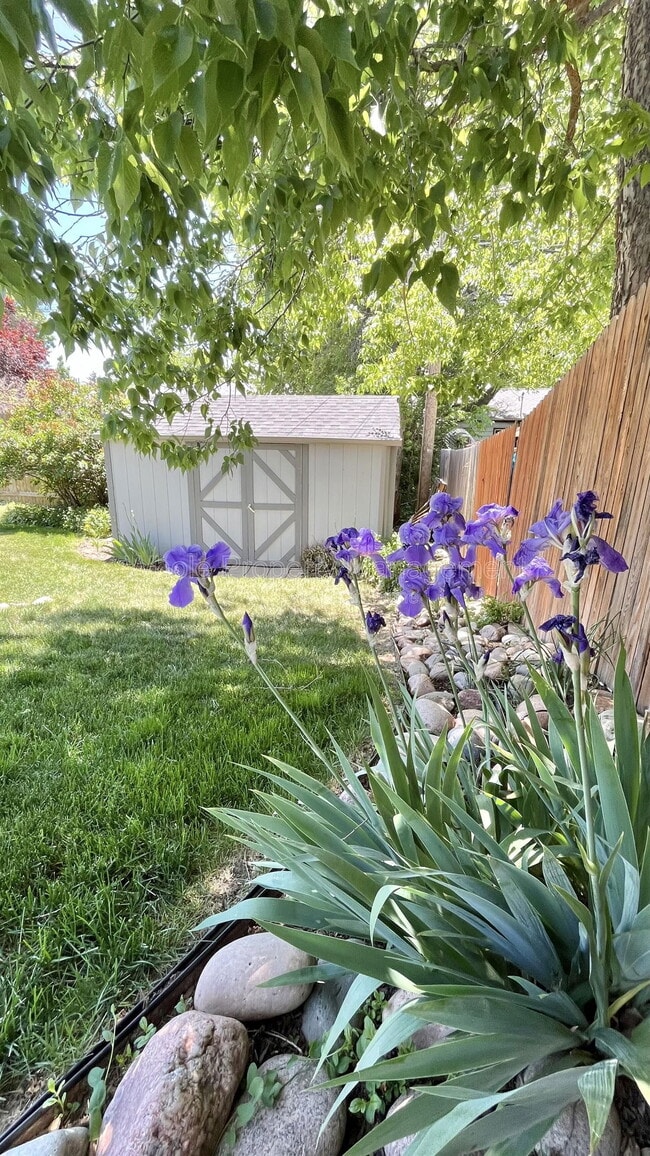 Building Photo - 4760 E Colorado Ave