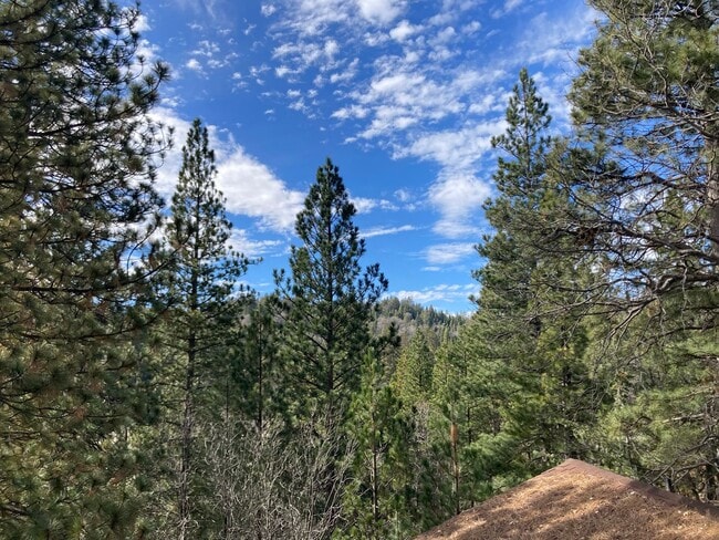 Building Photo - Enchanting Four Bedroom Two and Half Bath Condo in North Meadow Bay.