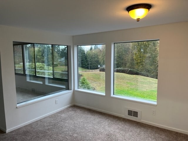 SW facing dining room - 1224 6th Ave S