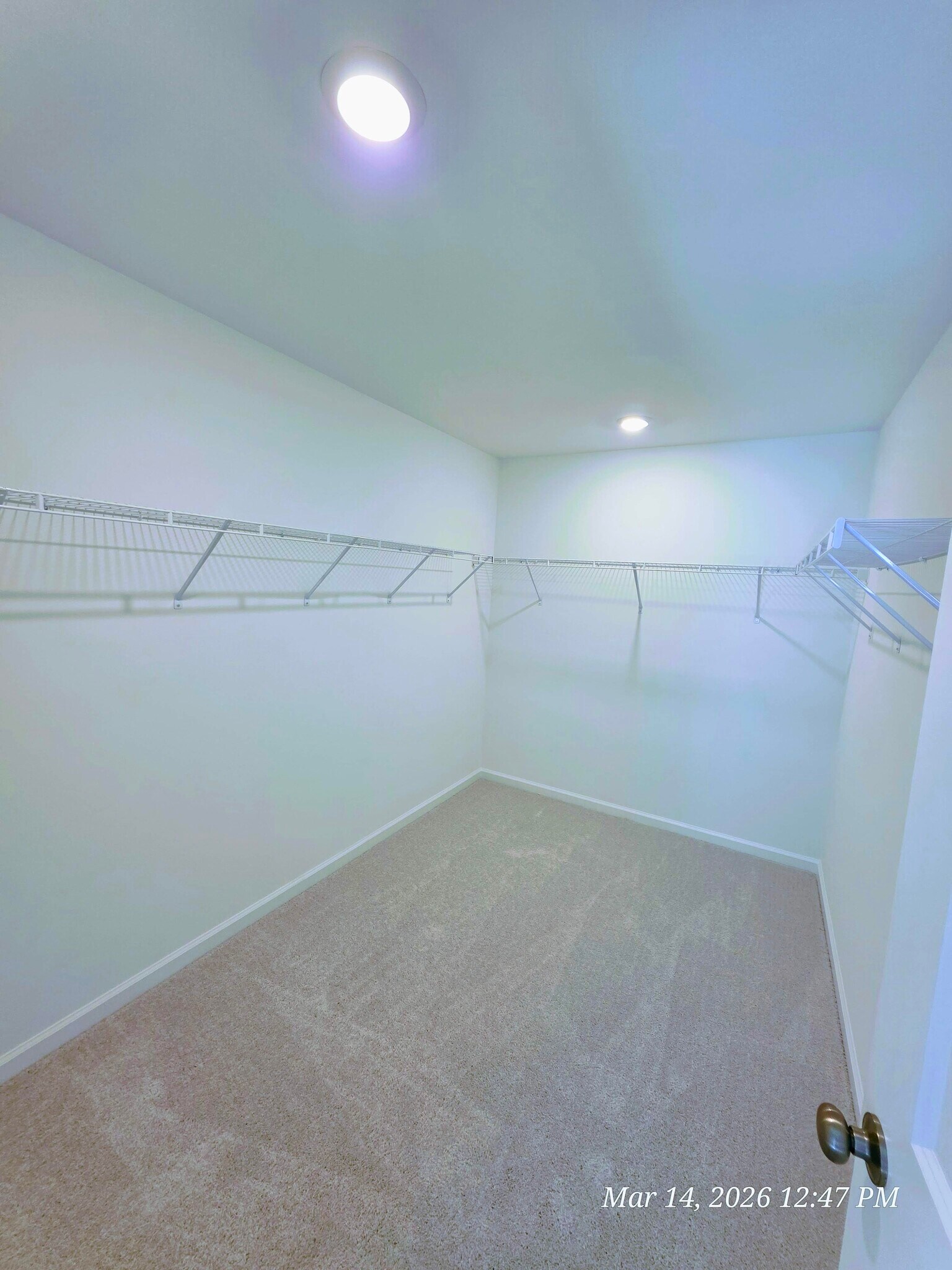 Building Photo - 65 Blossom Field Way