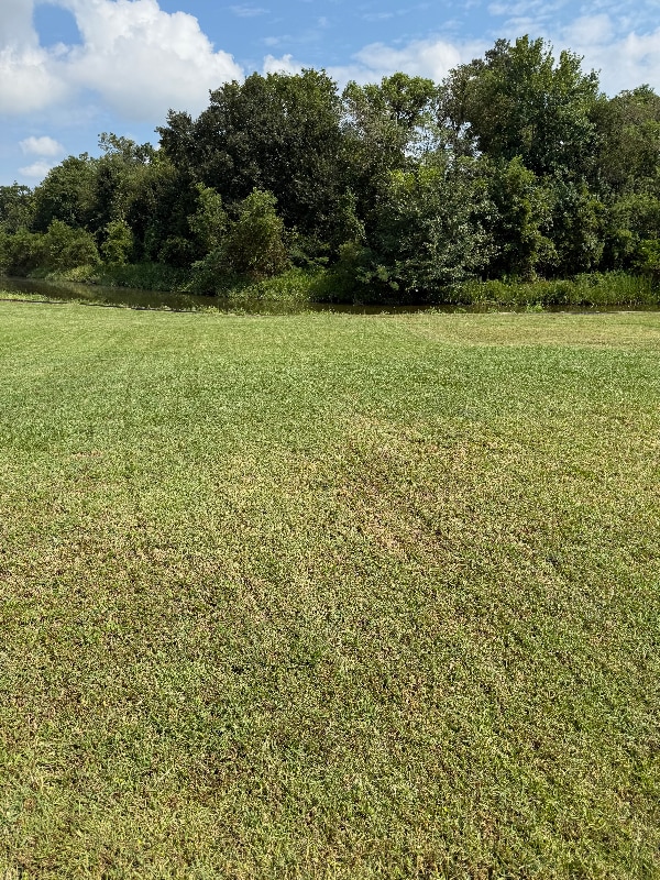 Building Photo - 1206 E St Charles St