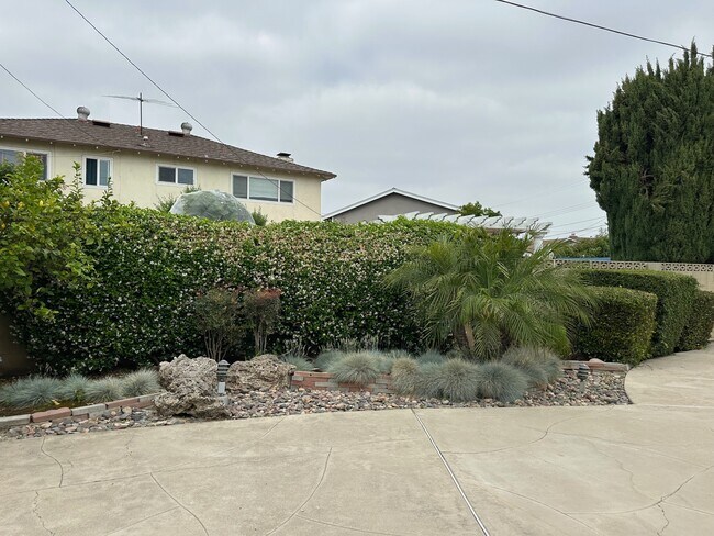 Building Photo - 1393 Scotch Cir