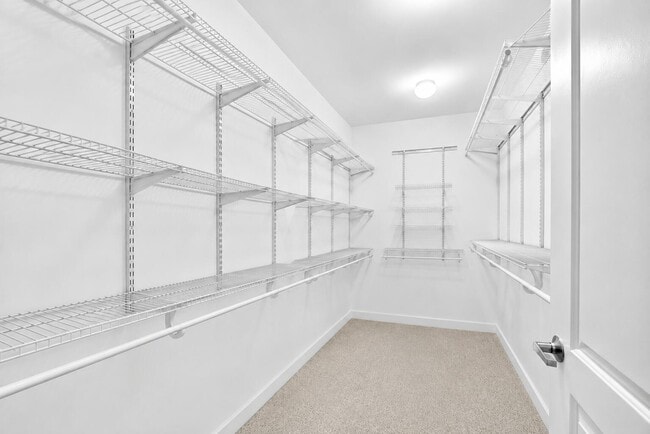 Building Photo - 801 S Olive Ave