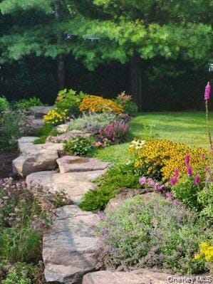 Building Photo - 15 Carter Rd