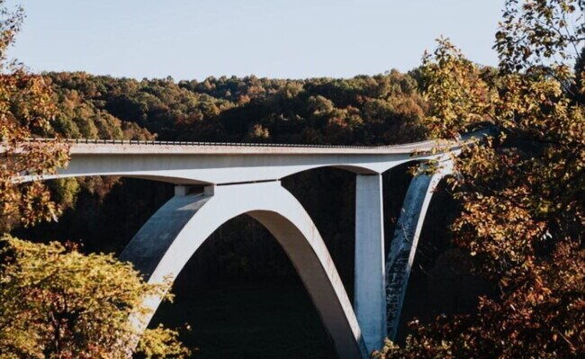 Building Photo - Williamson County 3 Bedroom New Construction Townhome with Great Schools in Fairview, TN