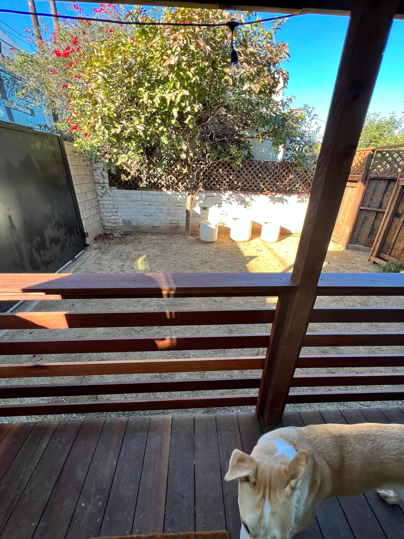 porch view into parking area - 3518 Hunter St