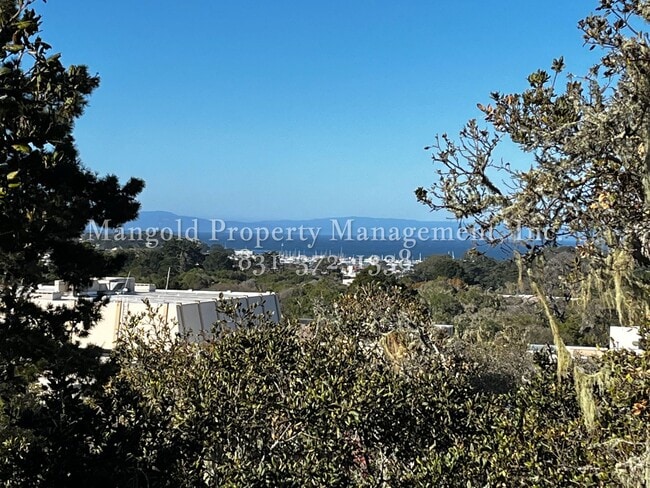 Building Photo - Spacious Condo Located At Ocean Forest Condominiums