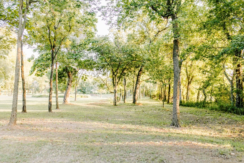 Building Photo - 9037 N Mem Dr