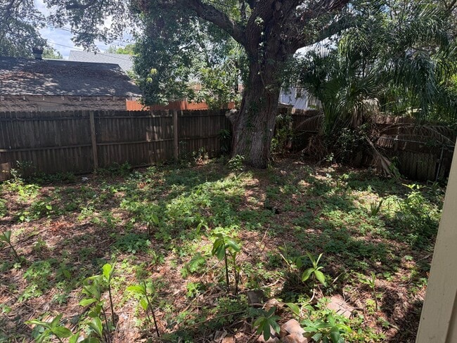 Building Photo - Affordable 2/1 located in St. Pete!