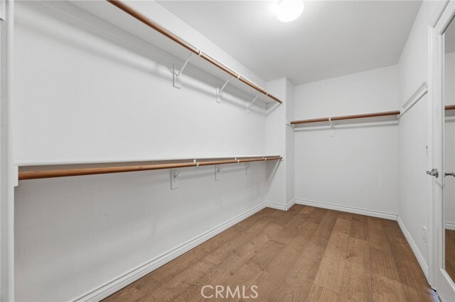 Building Photo - 12488 Celebration Dr