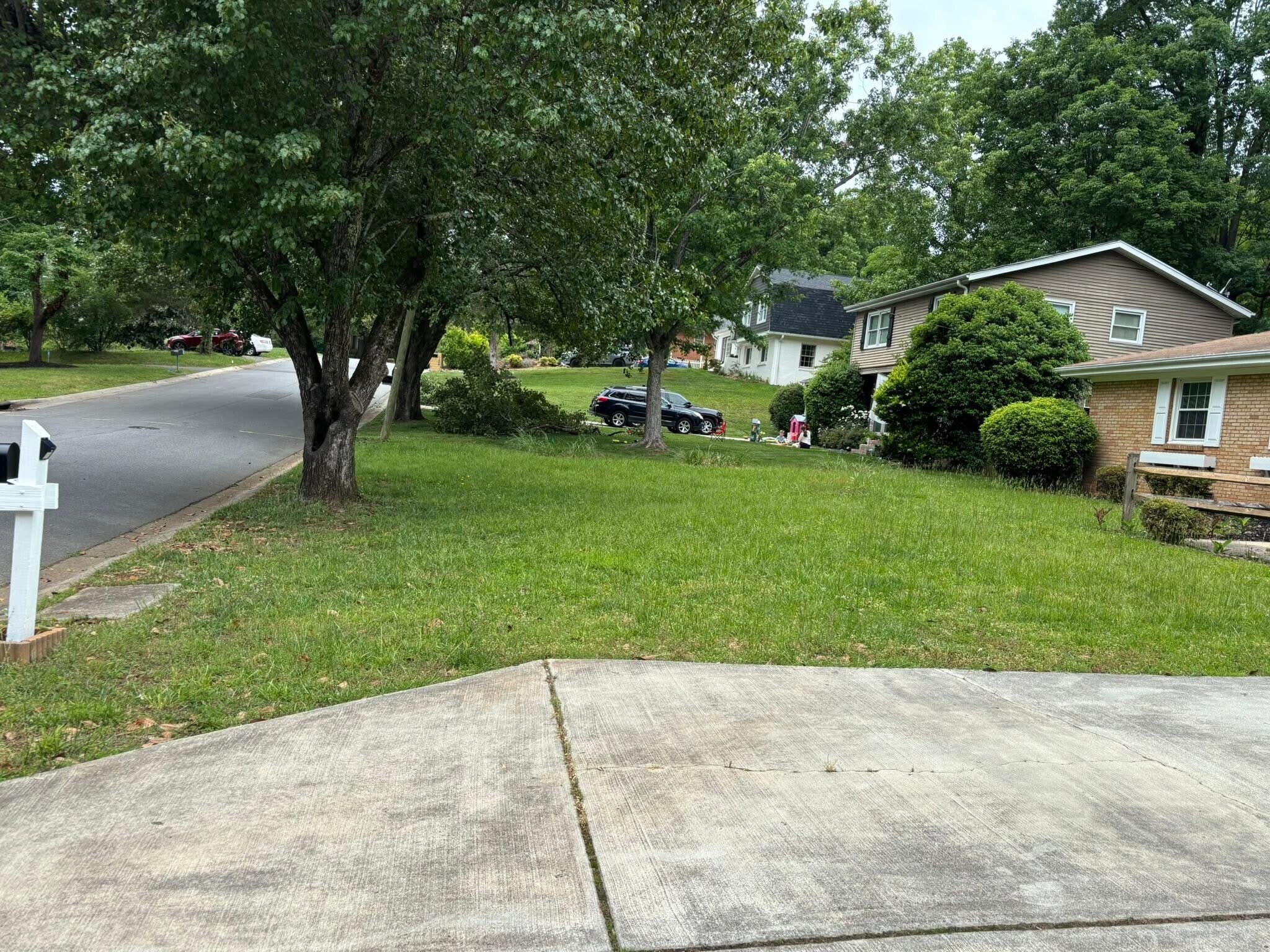 Front Yard - 1210 Fox Run Dr