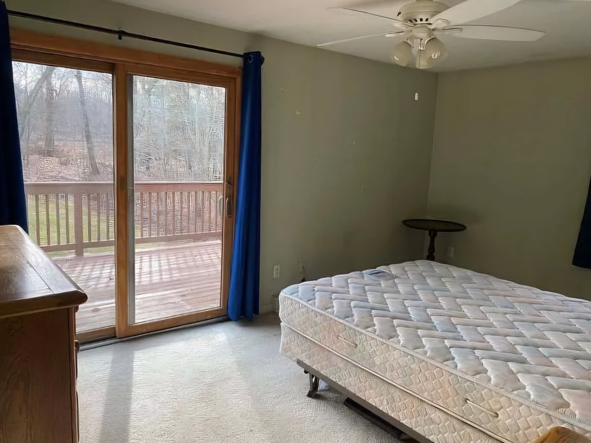 Main bedroom - 113 Hillyndale Rd