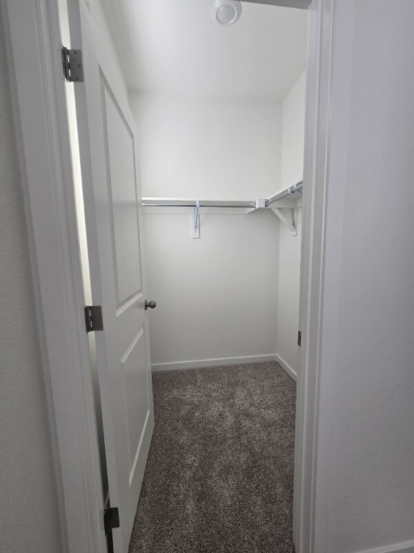 Building Photo - 5387 Euclid Dr