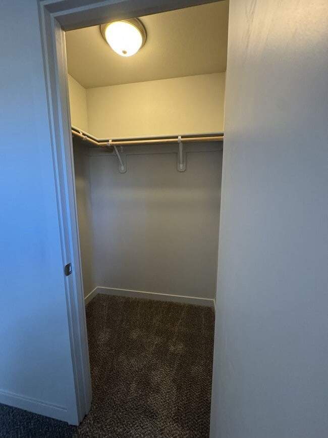 Building Photo - Open Concept Living