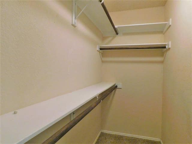 Building Photo - 2408 Rolling Ridge Dr