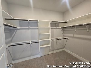 Building Photo - 810 Shatterhand Blvd