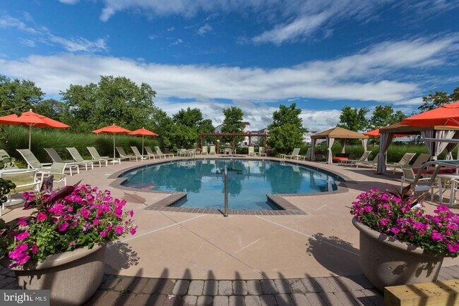 Building Photo - 24673 Nettle Mill Square