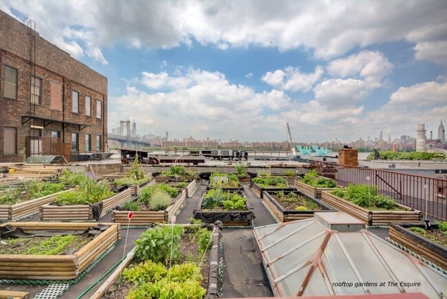 Building Photo - 330 Wythe Ave