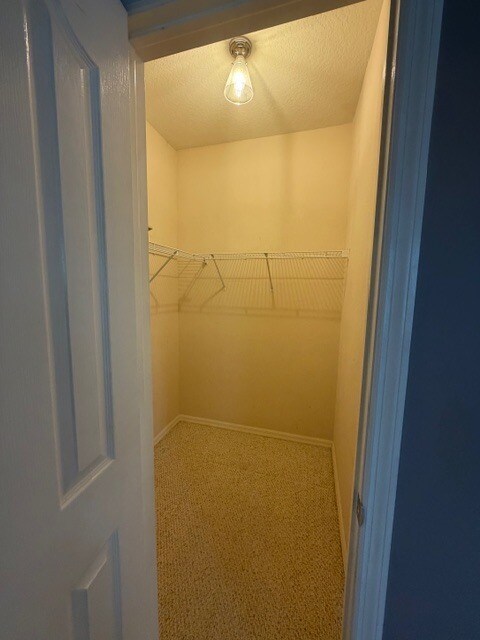 Building Photo - 2927 Bayshore Pointe Dr