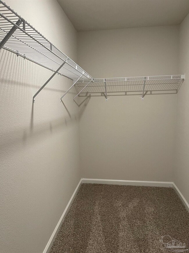 Building Photo - 10942 Blacktail Loop