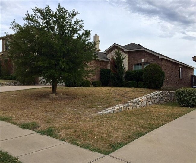 Building Photo - Charming 3 bed 2 bath in Anna TX
