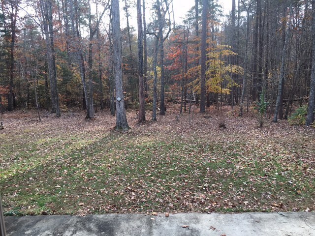 Building Photo - ~~ Luxurious Brick Home located in Mebane ~~
