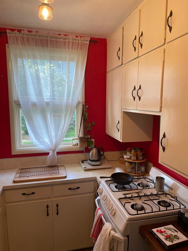 Natural Light - 121 7th St