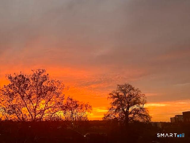 Building Photo - 91 Strawberry Hill Ave