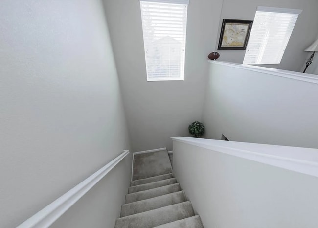 Building Photo - 5421 Tejon Ridge Ct