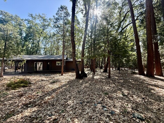 Building Photo - 13240 Loma Rica Dr