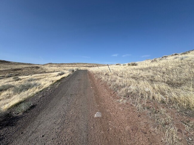 Building Photo - COMING SOON!! Stunning 4 Bed / 3 Bath NEXGEN Modern Home – $3,395/Month- Lesley Reilly Property