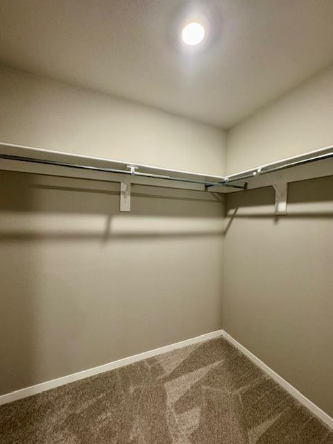 Building Photo - 2006 E Annette Dr