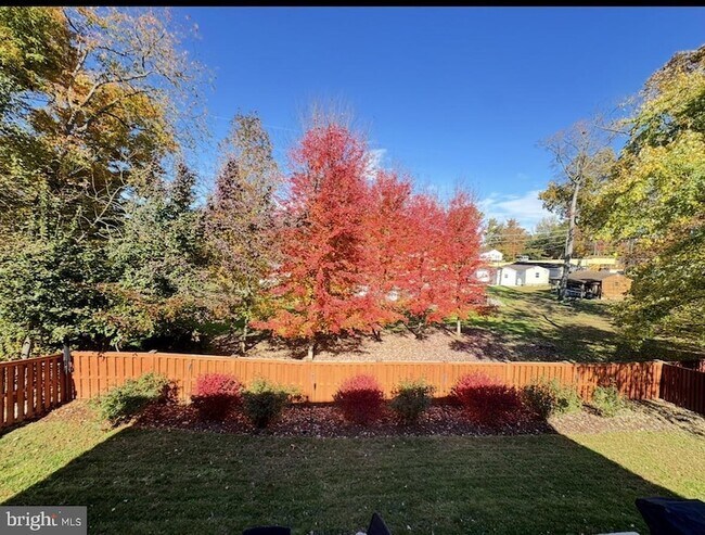Building Photo - 8802 Copper Leaf Way